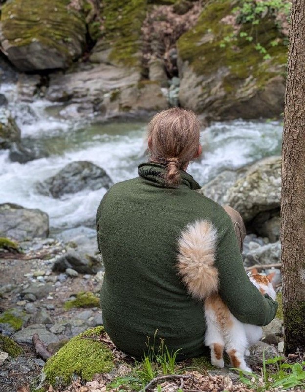 Die Magie der Rauhn&auml;chte