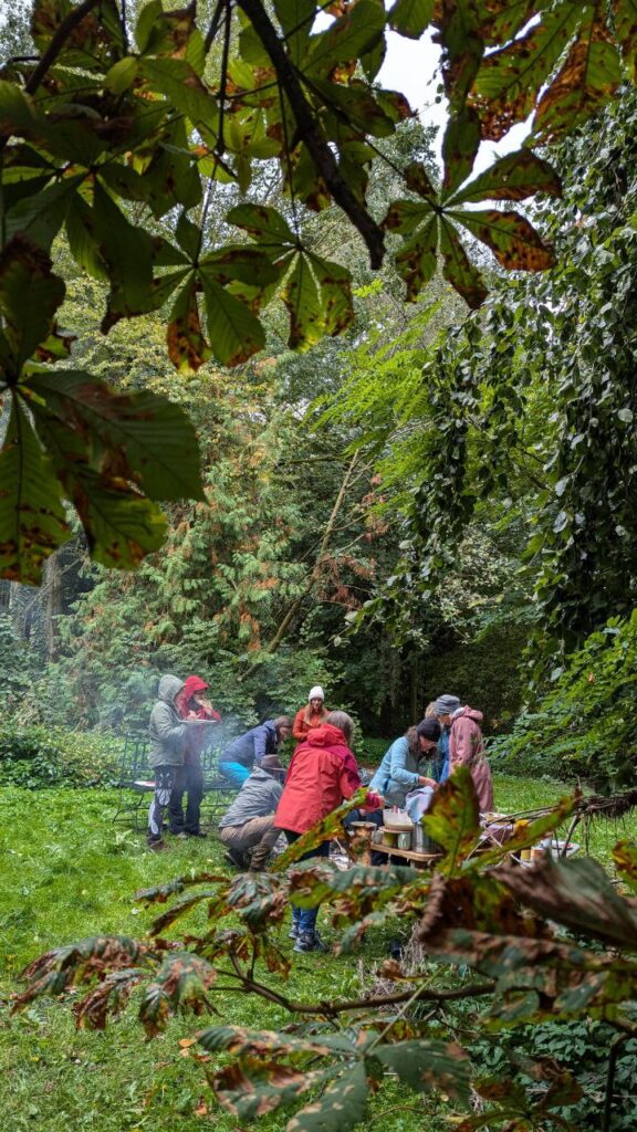 Kräuterpädagogik I