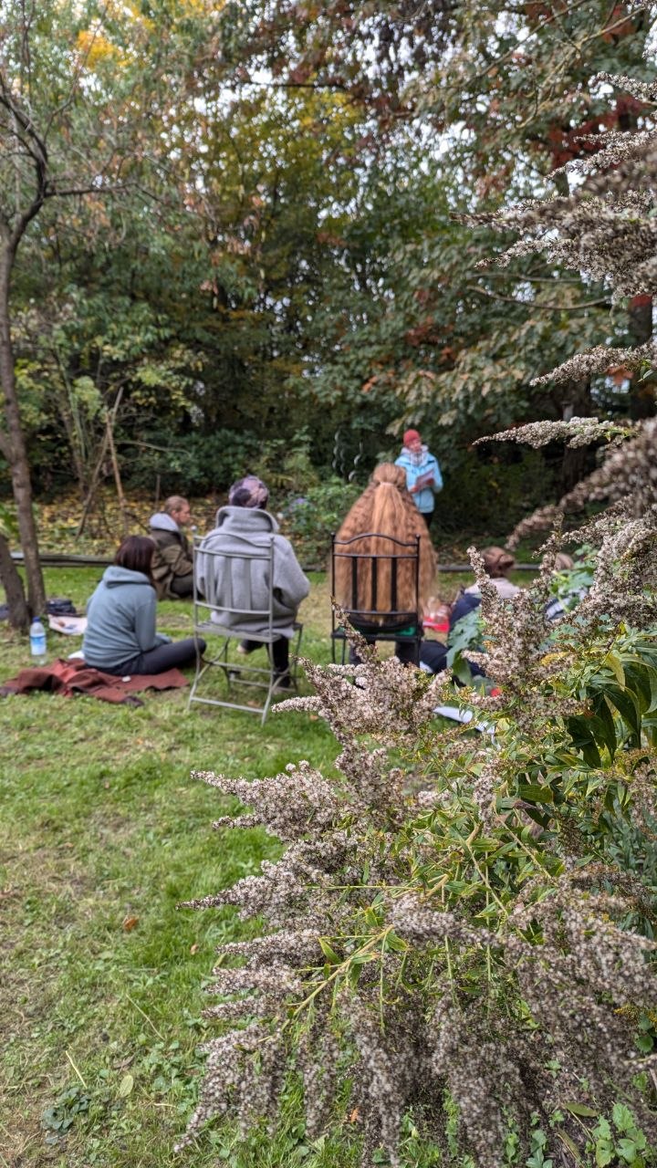 Kräuterpädagogik Ausbildungsgruppe beim gemeinsamen Lernen in der Natur